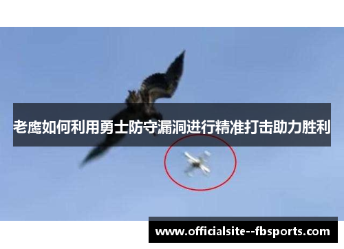 老鹰如何利用勇士防守漏洞进行精准打击助力胜利