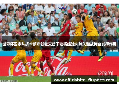 世界杯国家队战术前瞻新老交替下老将经验决胜关键战舞台发挥作用
